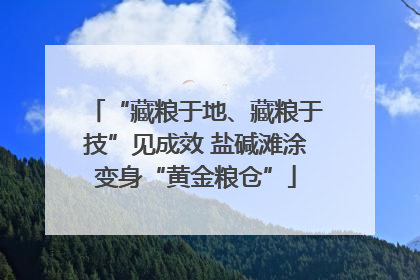 “藏粮于地、藏粮于技”见成效 盐碱滩涂变身“黄金粮仓”