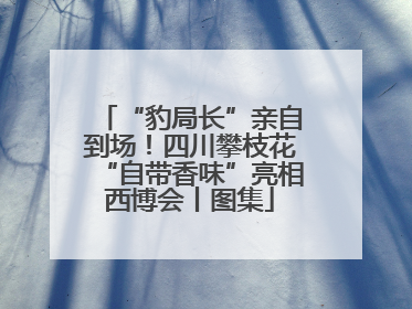 “豹局长”亲自到场！四川攀枝花“自带香味”亮相西博会丨图集