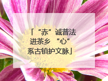 “赤”诚普法进茶乡 “心”系古镇护文脉