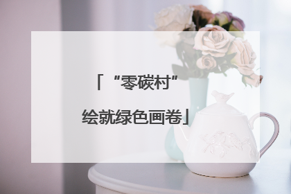 “零碳村” 绘就绿色画卷