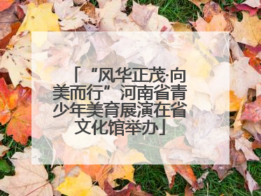 “风华正茂·向美而行”河南省青少年美育展演在省文化馆举办
