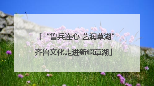 “鲁兵连心 艺润草湖” 齐鲁文化走进新疆草湖