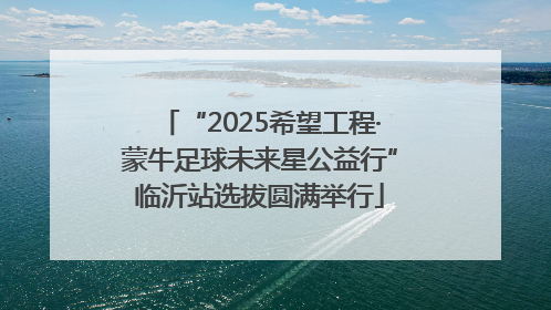 “2025希望工程·蒙牛足球未来星公益行”临沂站选拔圆满举行
