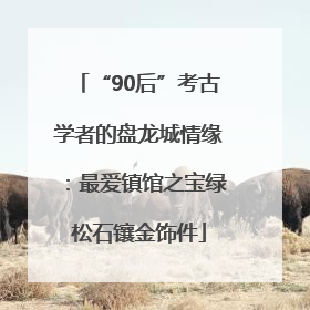 “90后”考古学者的盘龙城情缘：最爱镇馆之宝绿松石镶金饰件