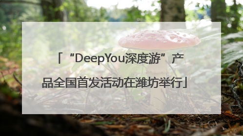 “DeepYou深度游”产品全国首发活动在潍坊举行