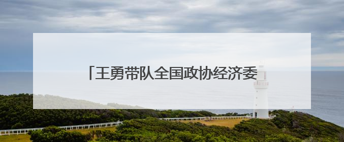 王勇带队全国政协经济委员会调研组赴浙江调研