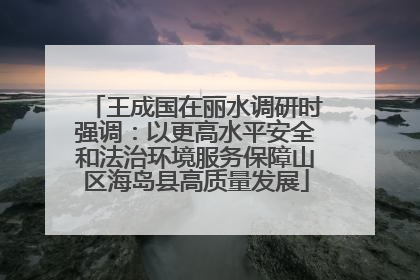 王成国在丽水调研时强调：以更高水平安全和法治环境服务保障山区海岛县高质量发展
