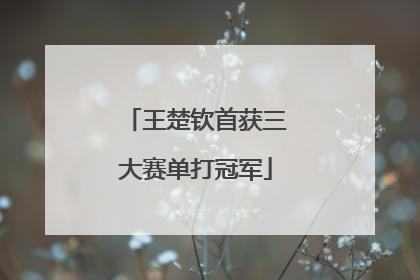 王楚钦首获三大赛单打冠军