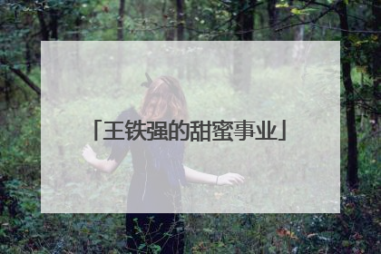 王铁强的甜蜜事业