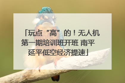 玩点“高”的！无人机第一期培训班开班 南平延平低空经济提速
