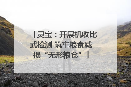 灵宝：开展机收比武检测 筑牢粮食减损“无形粮仓”