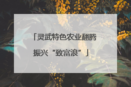 灵武特色农业翻腾振兴“致富浪”