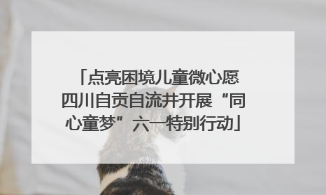 点亮困境儿童微心愿 四川自贡自流井开展“同心童梦”六一特别行动