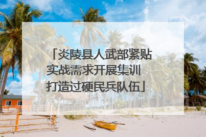 炎陵县人武部紧贴实战需求开展集训 打造过硬民兵队伍