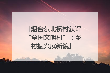 烟台东北桥村获评“全国文明村”：乡村振兴展新貌
