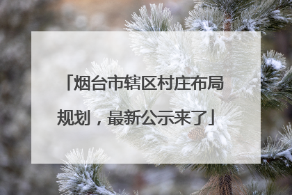 烟台市辖区村庄布局规划，最新公示来了