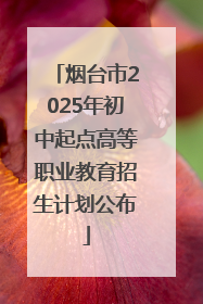 烟台市2025年初中起点高等职业教育招生计划公布