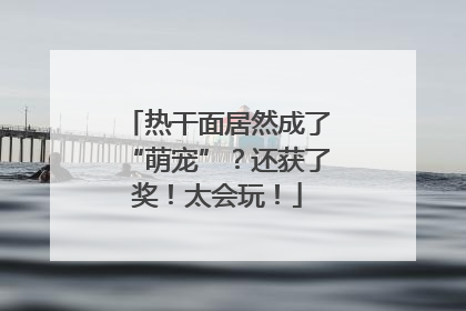热干面居然成了“萌宠”？还获了奖！太会玩！