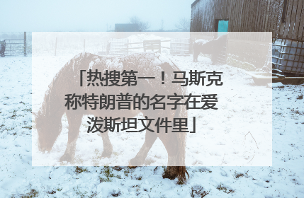热搜第一！马斯克称特朗普的名字在爱泼斯坦文件里