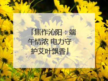 焦作沁阳：端午情浓 电力守护艾叶飘香