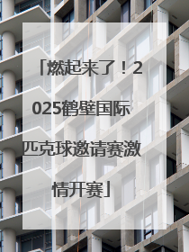燃起来了！2025鹤壁国际匹克球邀请赛激情开赛