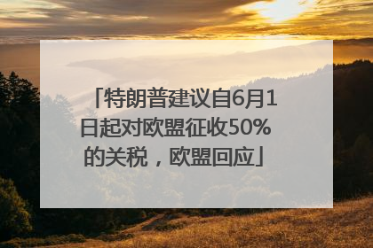 特朗普建议自6月1日起对欧盟征收50%的关税，欧盟回应