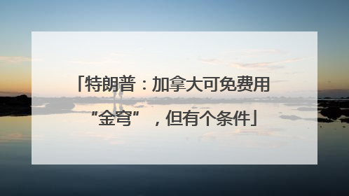 特朗普：加拿大可免费用“金穹”，但有个条件