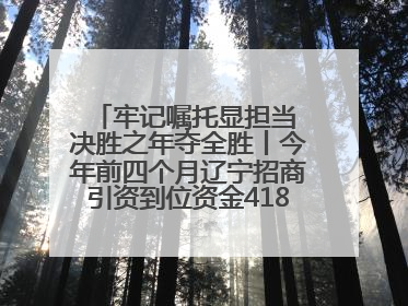 牢记嘱托显担当 决胜之年夺全胜丨今年前四个月辽宁招商引资到位资金4186.8亿元，同比增长17.4%