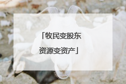 牧民变股东 资源变资产