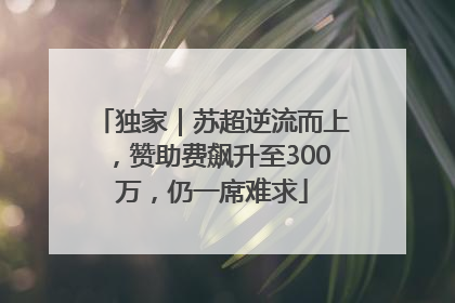独家｜苏超逆流而上，赞助费飙升至300万，仍一席难求