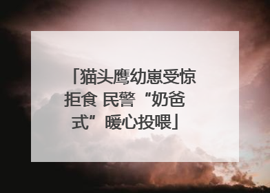 猫头鹰幼崽受惊拒食 民警“奶爸式”暖心投喂