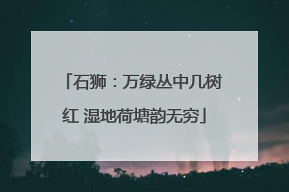石狮：万绿丛中几树红 湿地荷塘韵无穷
