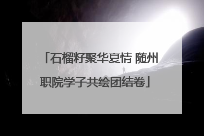 石榴籽聚华夏情 随州职院学子共绘团结卷
