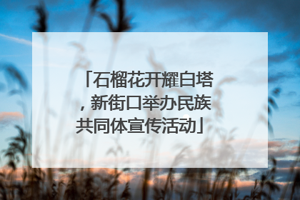 石榴花开耀白塔，新街口举办民族共同体宣传活动