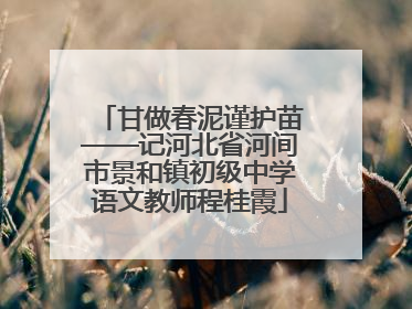 甘做春泥谨护苗——记河北省河间市景和镇初级中学语文教师程桂霞
