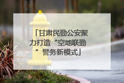 甘肃民勤公安聚力打造“空地联勤”警务新模式