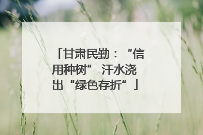 甘肃民勤：“信用种树” 汗水浇出“绿色存折”