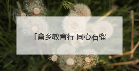 畲乡教育行 同心石榴红 浙江师范大学走进遂昌幼儿园开展铸牢中华民族共同体意识教育
