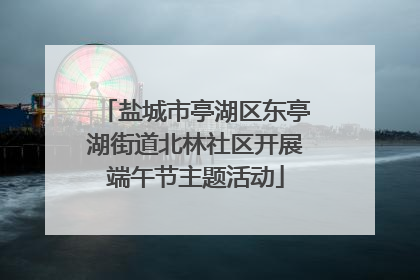 盐城市亭湖区东亭湖街道北林社区开展端午节主题活动