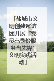盐城市文明创建巡访团开展“党员亮身份服务当先锋”文明实践活动