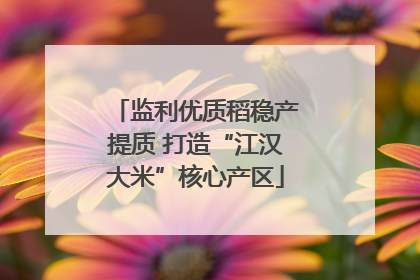 监利优质稻稳产提质 打造“江汉大米”核心产区