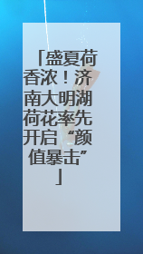 盛夏荷香浓！济南大明湖荷花率先开启“颜值暴击”