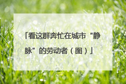 看这群奔忙在城市“静脉”的劳动者（图）