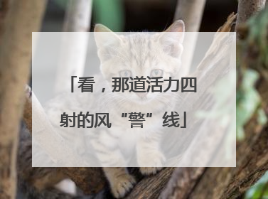 看，那道活力四射的风“警”线