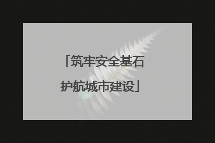 筑牢安全基石 护航城市建设