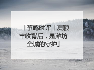筝鸣时评丨夏粮丰收背后，是潍坊全城的守护