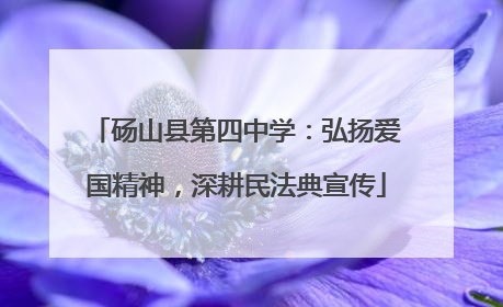 砀山县第四中学：弘扬爱国精神，深耕民法典宣传