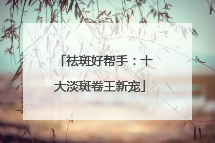 祛斑好帮手：十大淡斑卷王新宠