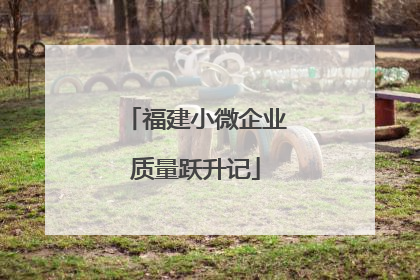福建小微企业质量跃升记