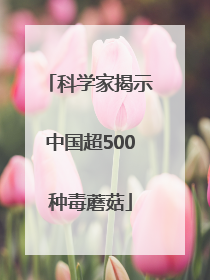 科学家揭示中国超500种毒蘑菇